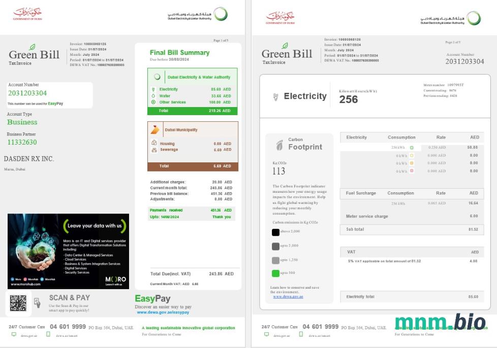 Zjednoczone Emiraty Arabskie Dubai Green Business utility bill szablon w formacie Word i PDF, w pełni edytowalne 1-2